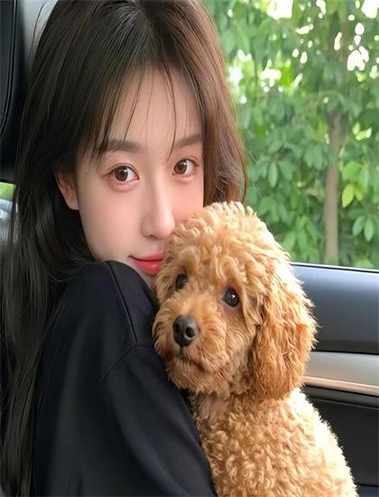 入侵来世评分测评：是否值得花时间观看的深度分析